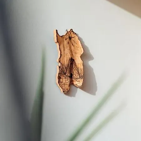 아파트 Dimora Pintau In Con Piscina Privata